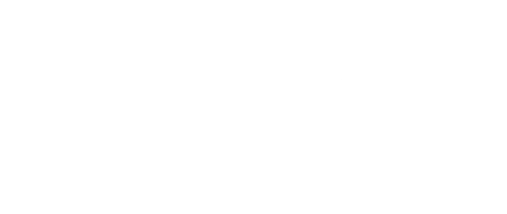 White EV Logo